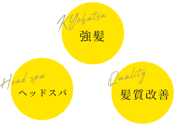 強髪・ヘッドスパ・髪質改善